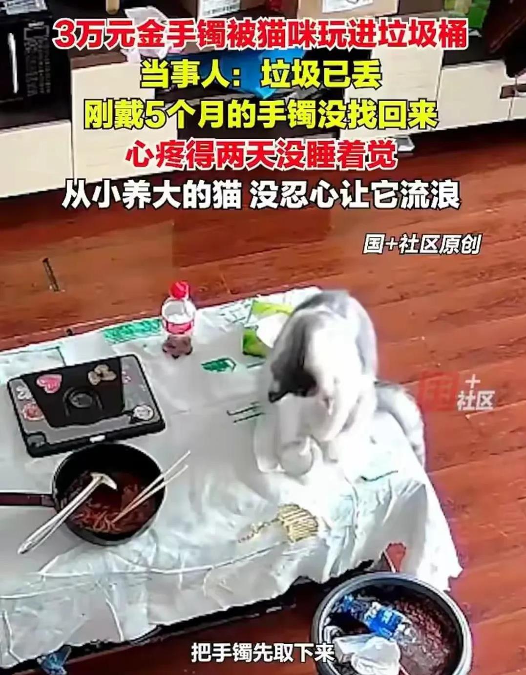 养猫的人除了喜欢猫，还因为寓意好，招财猫嘛。
不过，也有例外。
8月17日，广西