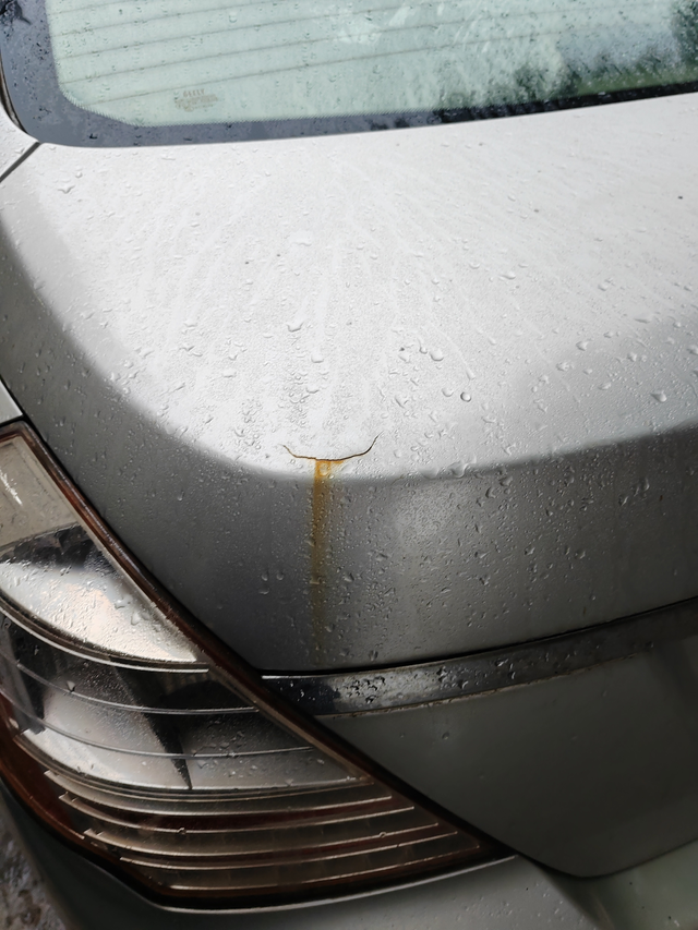 锈到爆皮啦
漆面开裂，锈水都流出来了，懒得修了，锈穿了或者不能开了就报废换车