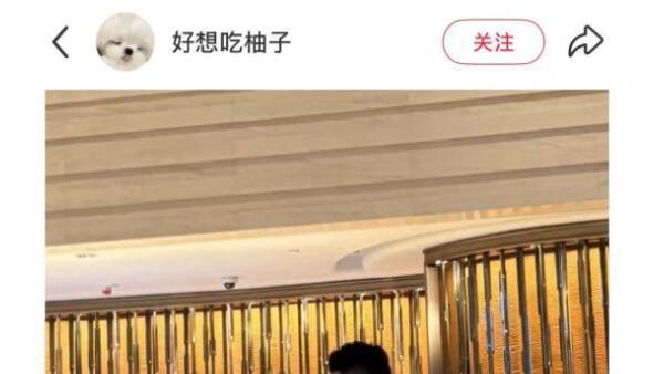 大S离世后，汪小菲一家的新生活：从香港旅游到即将到来的婚礼