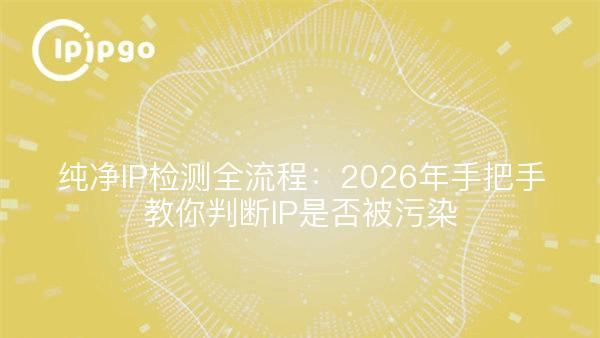 纯净IP检测全流程：2026年手把手教你判断IP是否被污染