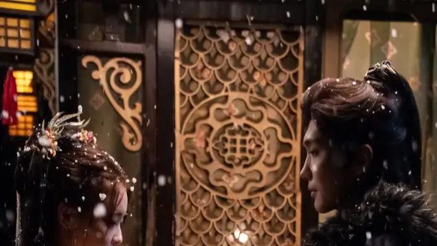 短剧《雪落时，你向南飞》完整版免费看资源，雪落之时你向南飞，背后藏着怎样的深情与秘密