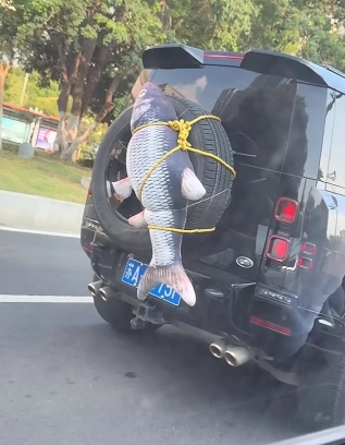 车主这是在赤裸裸的炫耀吧。[捂脸哭][捂脸哭][捂脸哭]