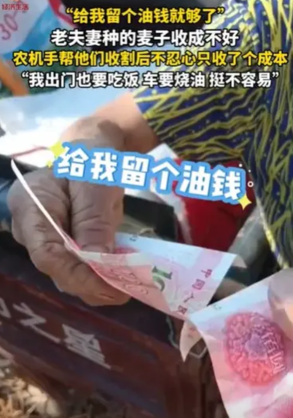 河南济源，男子帮一对老夫妻收割麦子。3亩地收完，仅得了3个袋子的麦子，看上去也就