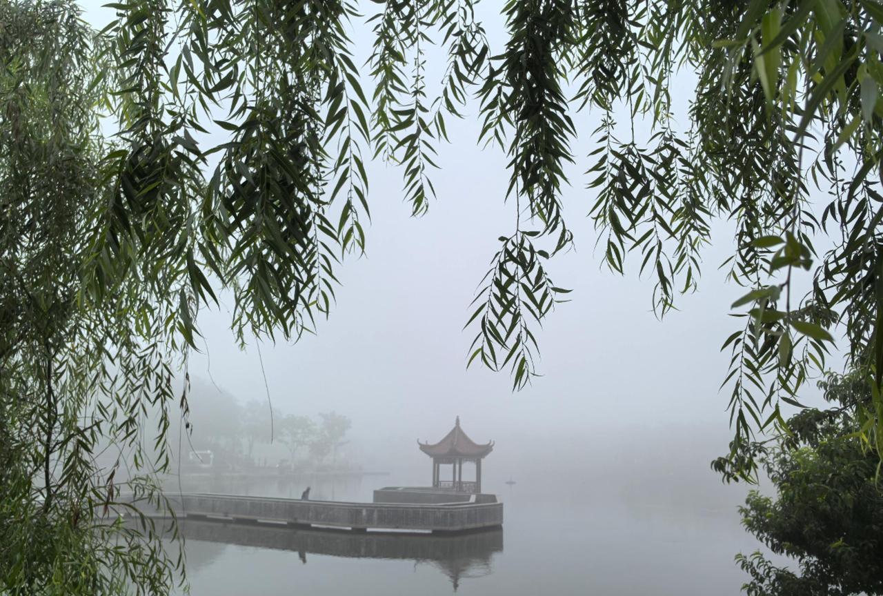 南京回南天，晨雾弥漫#柳岸晓风 #雨碎江南