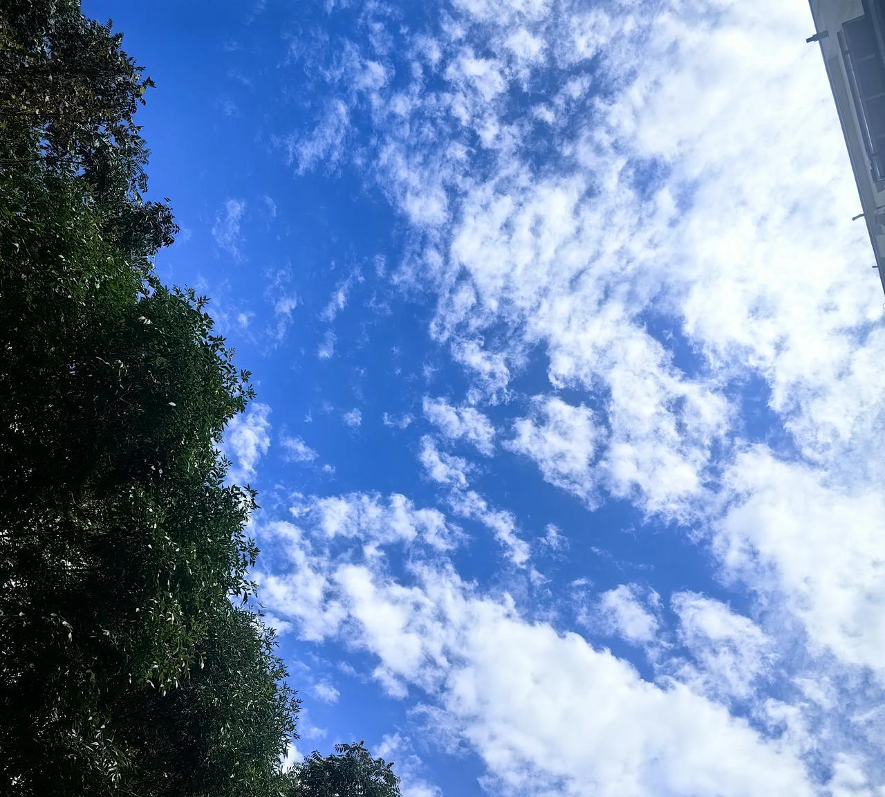都说太年轻了
永远语言利他，行为上利己。
永远表面随和，原则上强势。
永远信息共