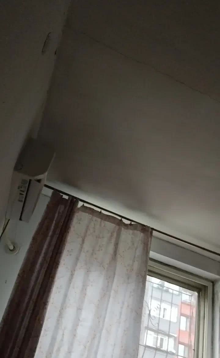 连日阴雨，室内返潮。
一早上，听见餐厅啪的一声，吓我一跳，跑去一看，顶棚脱落一