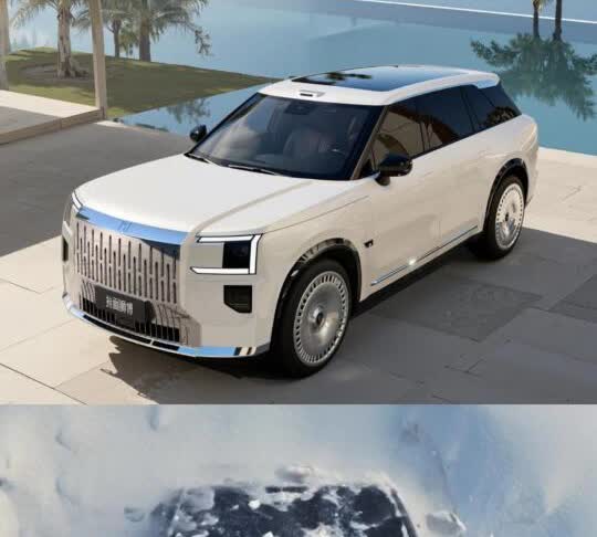 极氪X9
极氪X65、古斯特BBII、小牛、