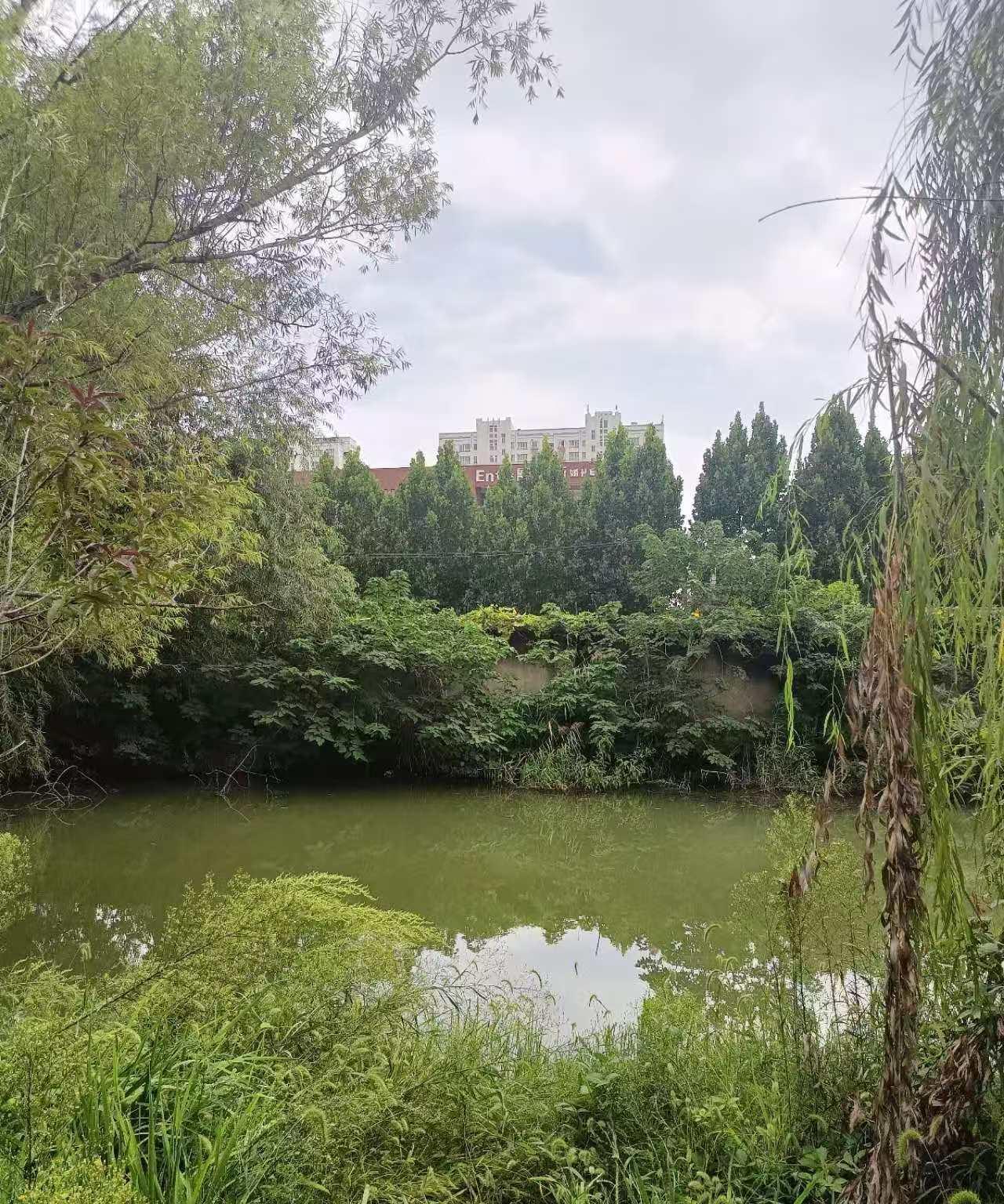 我们市区也新开了一所“封闭式军事化管理学校” ，这种特殊学校，现在是越来越多了，