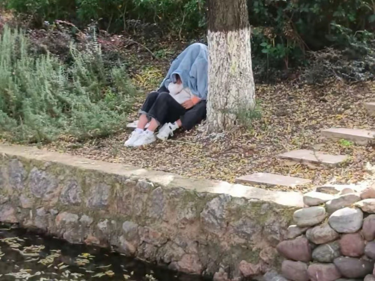 他们这样好久了，我有点怕他们闷着，要不要去问候一下？