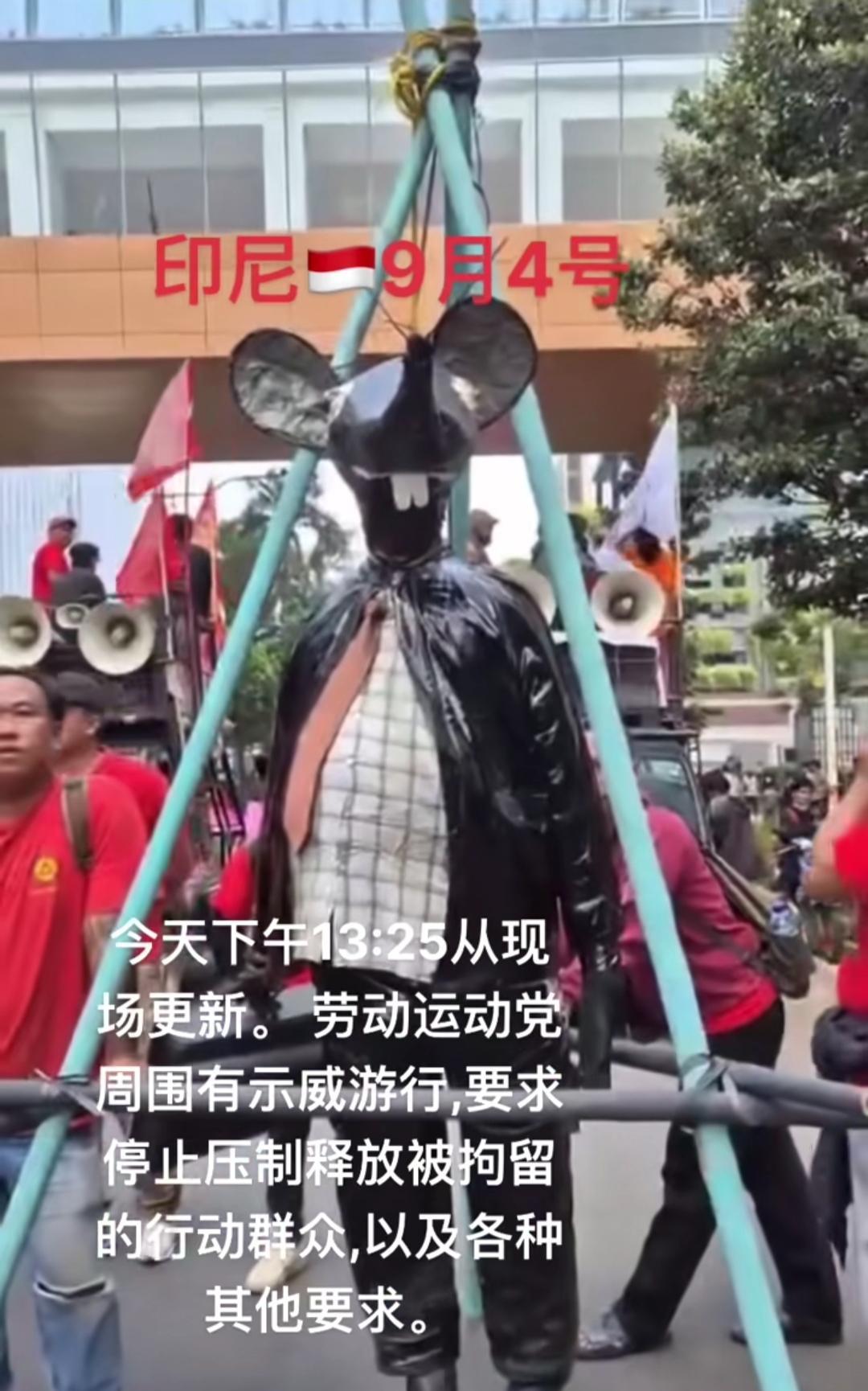 硕鼠硕鼠，无食我黍！
印尼的民众抗争运动还在继续，一个大老鼠模型被吊绞在铁架上，