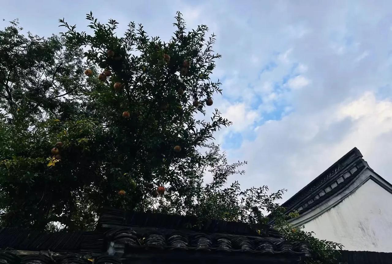 给自己打工才是最有意义的事情！
我小舅在一个二线城市开个奶茶店，前段时间他问我我