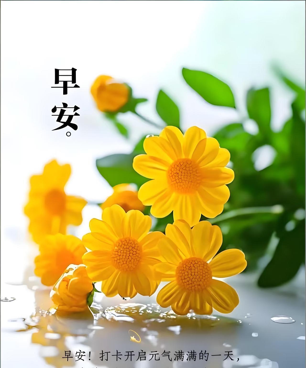 早上好，今天是10月2日星期四。
中国排协发布2025-2026排超联赛赛程，几