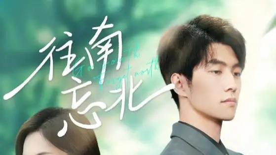 热播短剧《往南忘北》：南北碰撞下的青春恋曲与人物传奇
