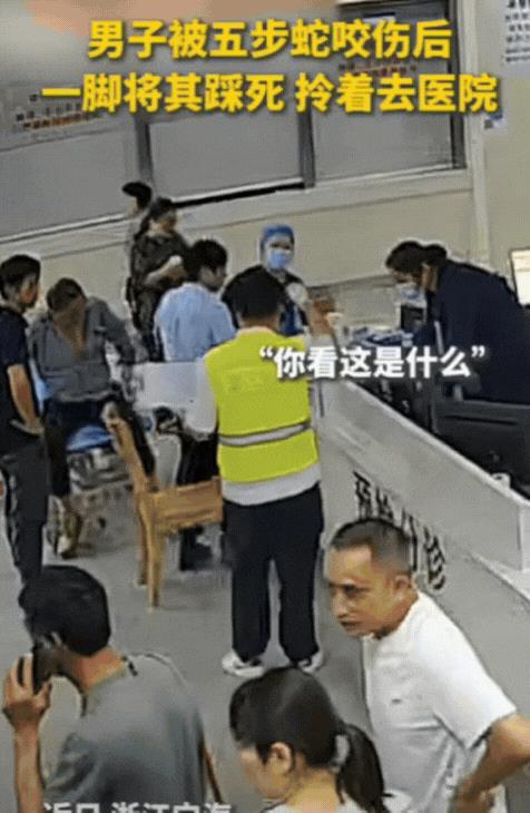 这大叔是个狠人！浙江，男子不慎被五步蛇咬了，竟然不想着跑，反而冲上去一脚将蛇踩死