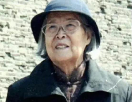 1924年冬，山西太原傅家大宅里，婴儿的啼哭划破寒夜。傅冬菊，这个裹在锦绣襁褓里