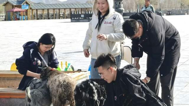 青铜峡黄河大峡谷“与光同行·冬游吴忠”冰雪嘉年华12月26日开园！萌宠玩偶、彩色冬林邀您畅玩银白世界
