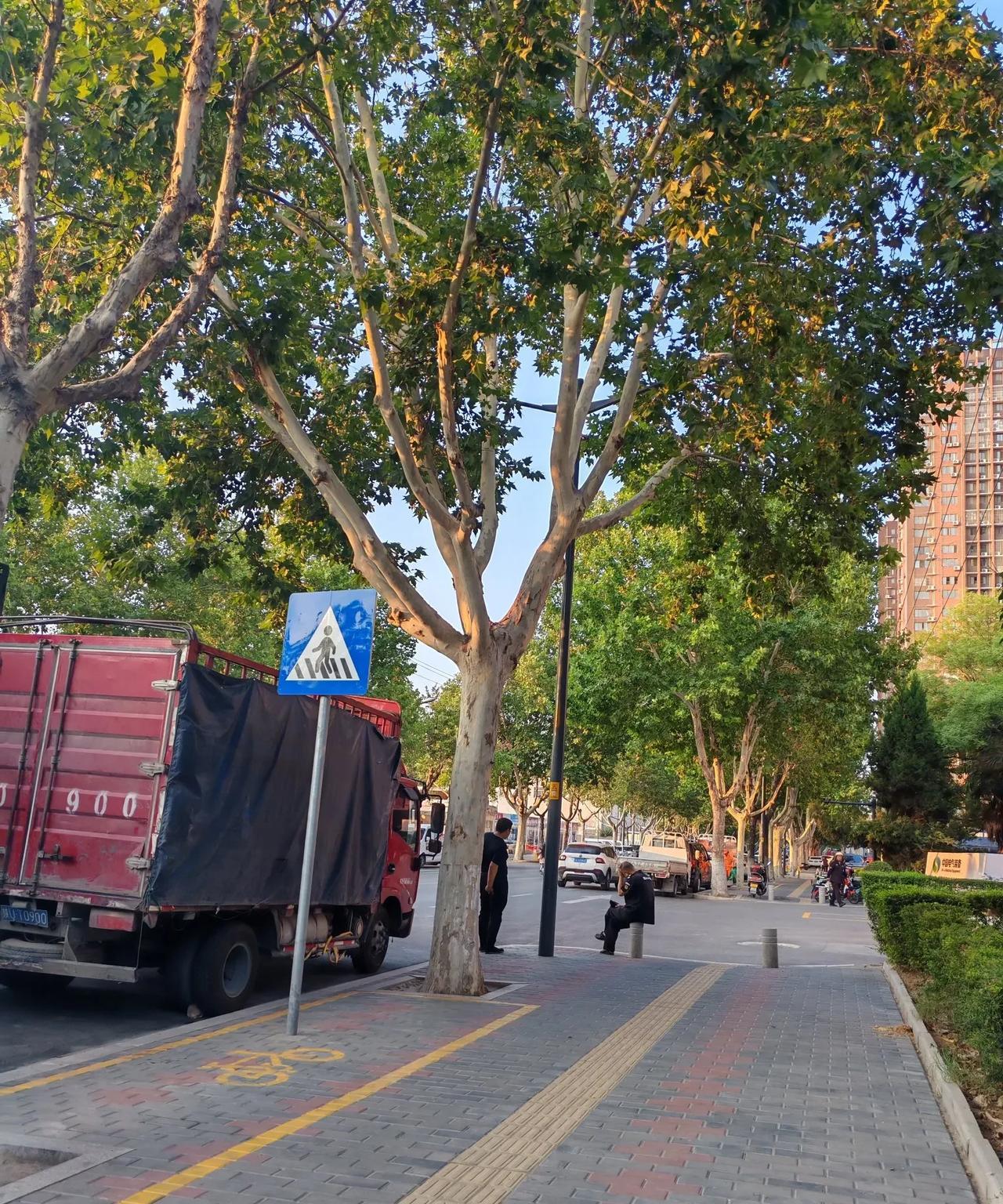 黄岛是哪里？
昨天上午我路过泾渭路，看到两个师傅在聊天，一个是保安，一个是卡车司