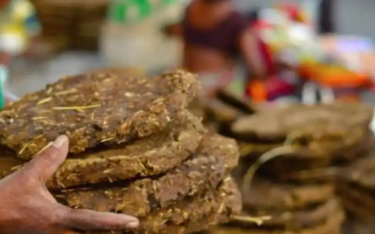 印度皇家美食“牛粪饼”一盒卖205卢比，, 牛粪越多越尊贵，还经常卖到脱销，喷香香的我爱吃…