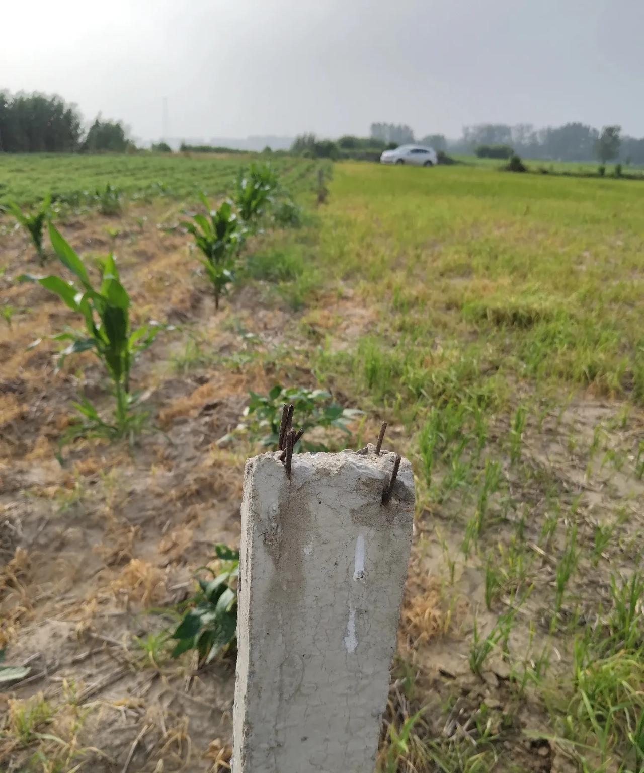 我这是懦弱无能的行为吗？
看着我们这两边地的边界:就知道谁讲道理谁不讲道理，这个