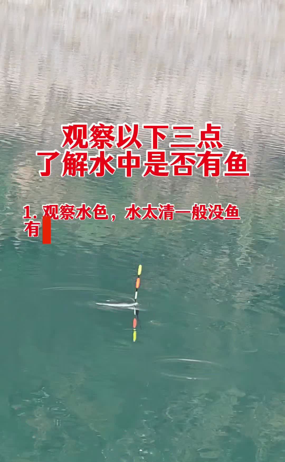 观察以下三点，了解水中是否有鱼。
·1.观察水色，水太清一般没鱼。有鱼的地方，