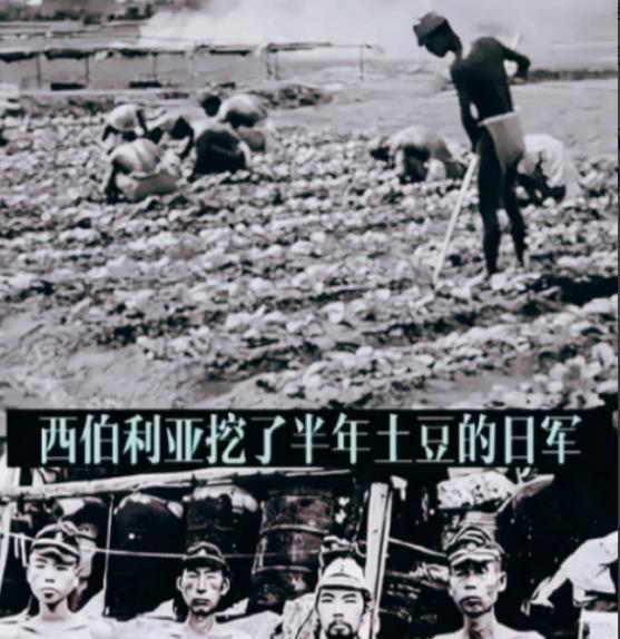 1945年，日军被苏联红军被押往了寒冷的西伯利亚。后来，活下来的日军战俘哭着回忆