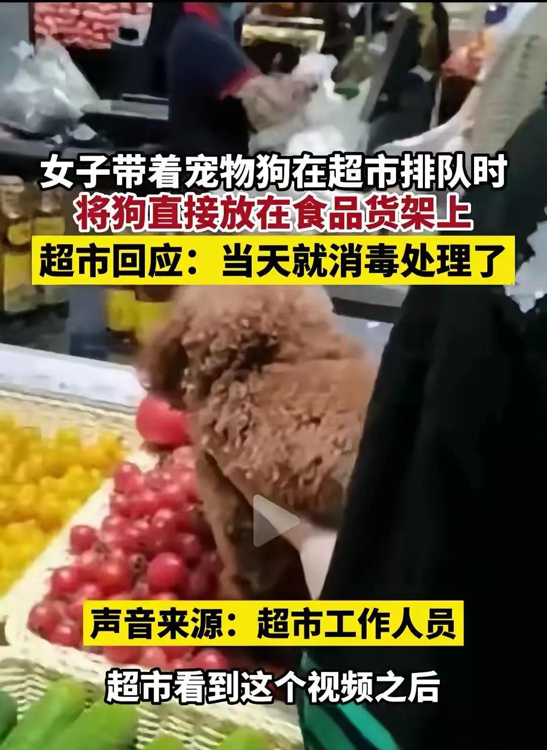 女子带狗进入超市，把狗放在食品货架上。
看视频，是放置水果之类食品的货架，狗就趴