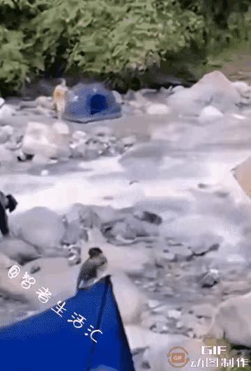 人没有了对自然的敬畏之心，是多么可怕的事情。不把它当回事，它把你也不当回事。
优