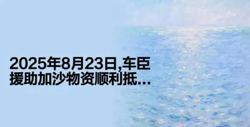 车臣援助物资谁敢拦？
       车臣领导人卡德罗夫主导的对加沙援助的首批物资