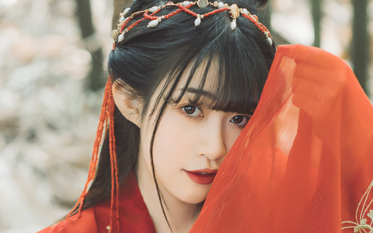 他奉上平妻之位那夜，我撕了婚书转身接圣旨入宫