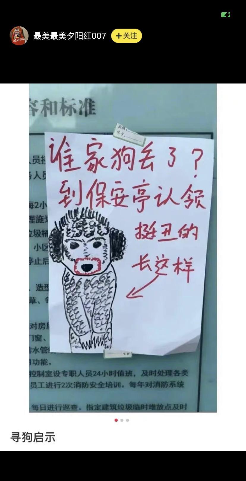 为了让狗主人尽快找到爱犬，看得出保安已经尽力了～