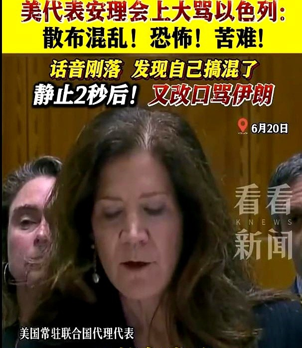 美国代表口误，把伊朗说成以色列











天呐！开会也能出这么大的岔