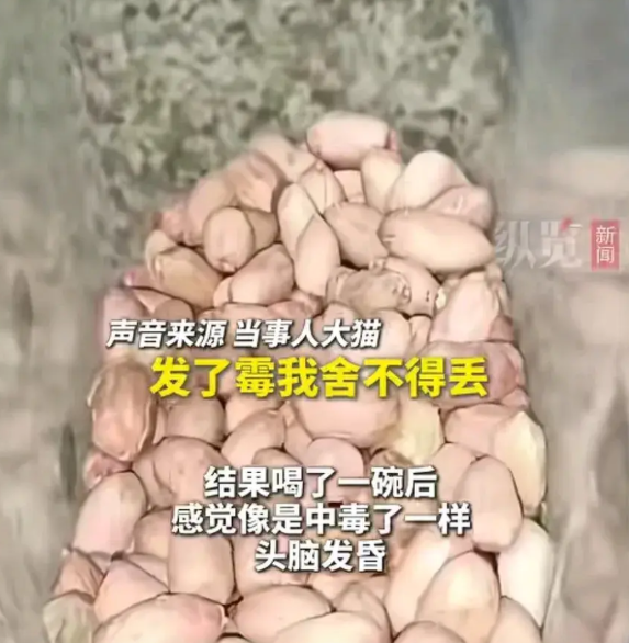 花生发霉女子不舍得扔，把花生清洗干净后，做成了花生奶，喝了一碗后脑袋发晕送到医院