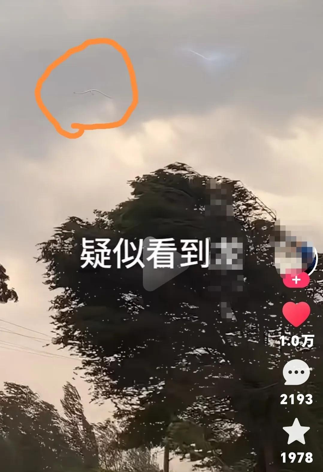 有网友拍到的，这到底是什么？难道天上真有不明生物？