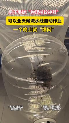 “蚊子老祖来了也得跪！”福建，男子手搓全自动捕蚊神器，第一天就成功“爆网！最可怕