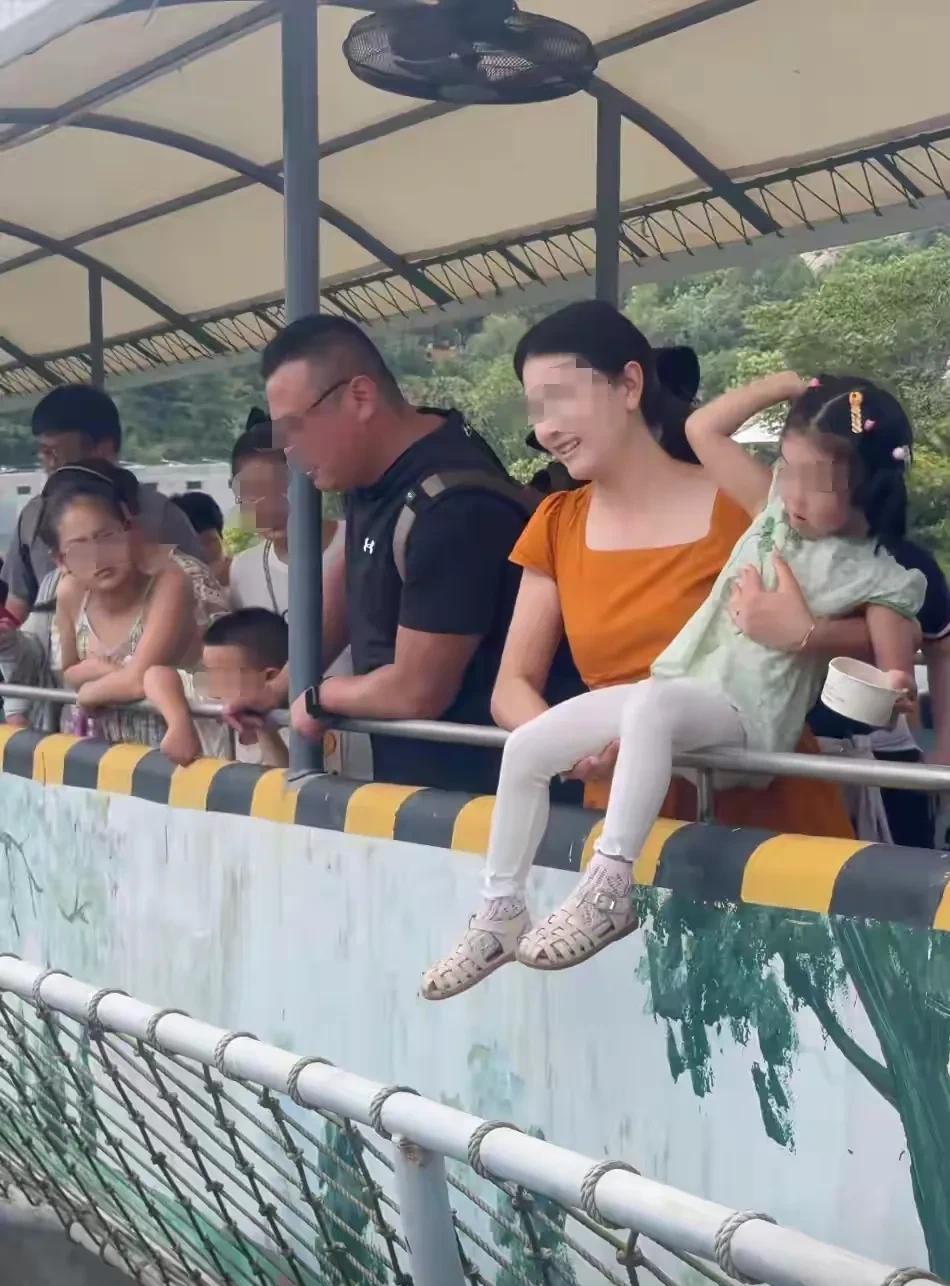 这位妈妈让女儿坐在护栏上投喂狮子，看着都紧张，有网友善意地提醒，这位妈妈竟然抱怨