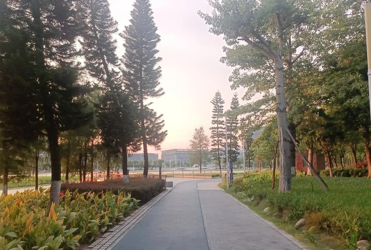 35岁真香的年龄，
据说已经不受太多单位的入职青睐。
我终不明白，为什么呢？
3