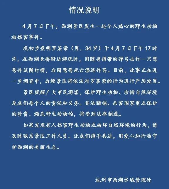 西湖景区又发生伤害小动物事件!
两个月前的4月初，一名罗姓男子在西湖长桥区域使用