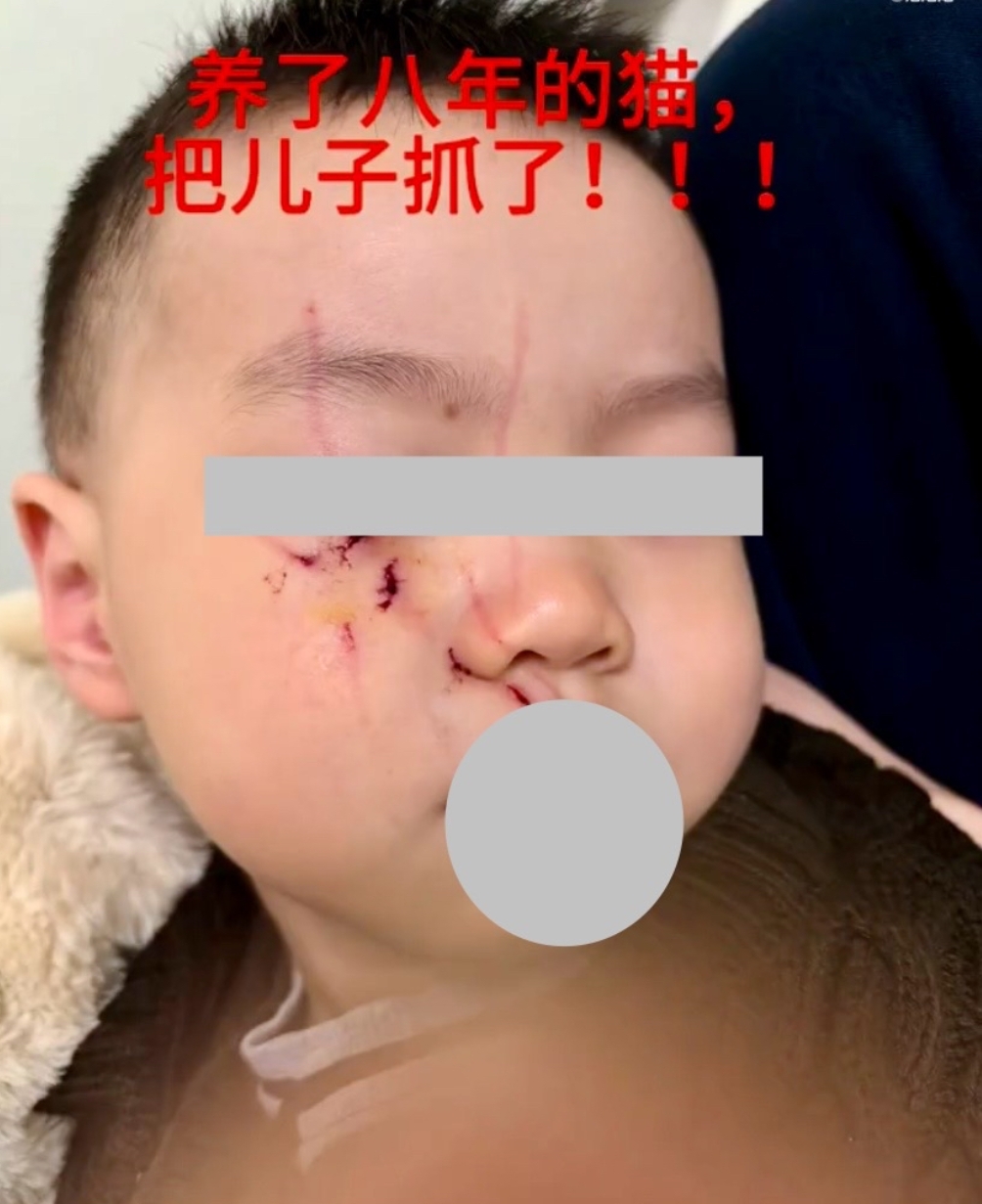 这种养猫的人脑子怎么想的有时候我们正常人确实搞不懂。