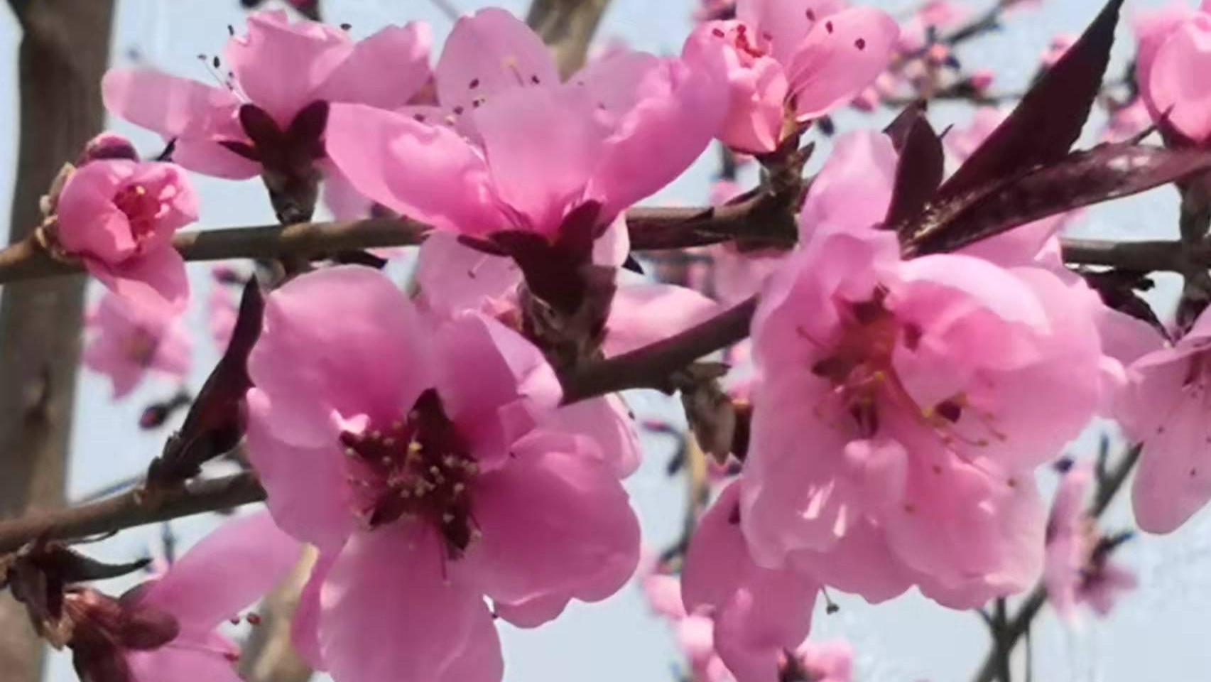 本来有意，流水本也无情。转身的那一秒开始，我的幸福，便与你无关