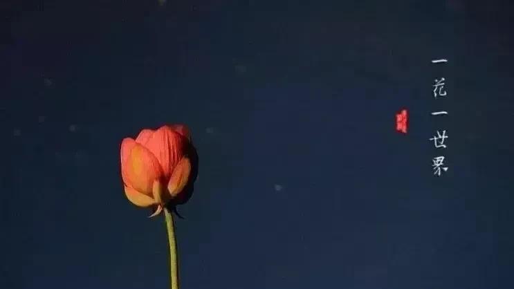 当你把“向外”的目光收回，放弃对任何状态的期待，不再把“我是谁”的定义交给别人，