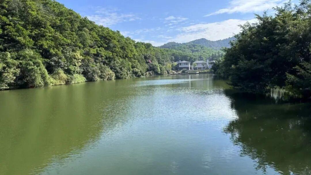 “类借壳”折戟？梦天家居一字涨停的迷局