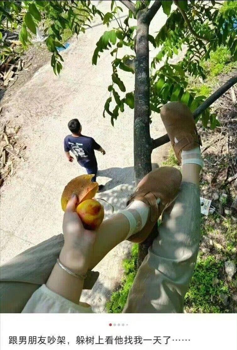 哈哈哈，算你狠 