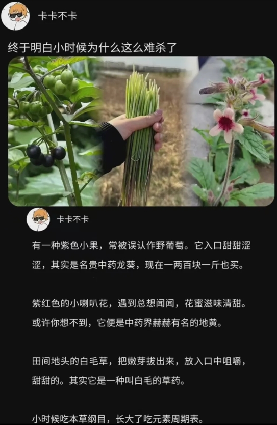 终于明白小时候的我们那么难杀
