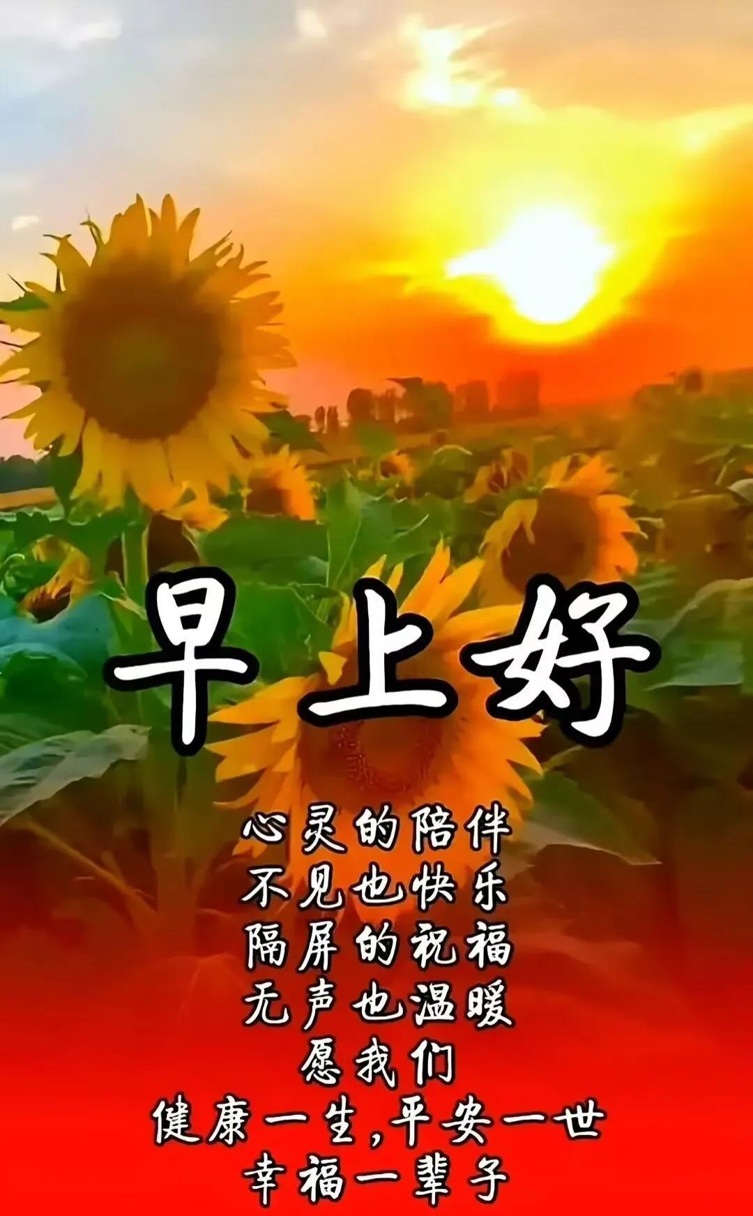 #分享早安心语。#