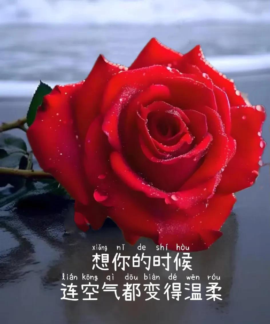 动了情的人
只想你
入了心的人
只念你
难以入眠的夜
全是你
思绪万千的晨
仍是