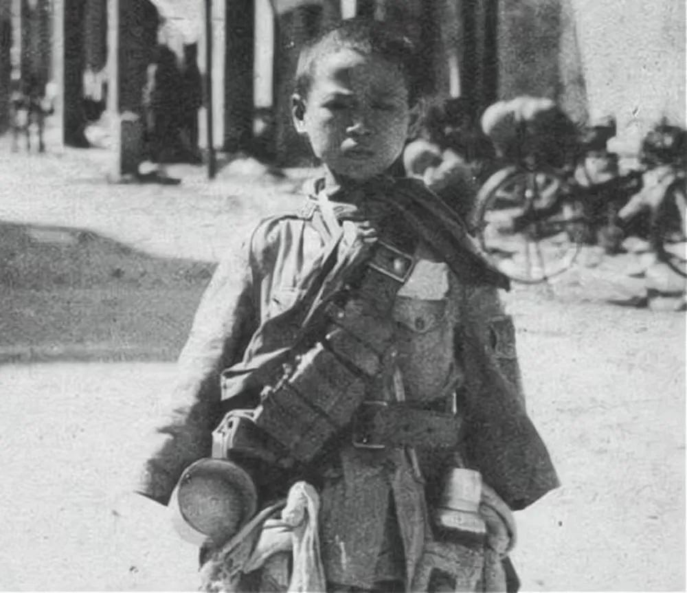 1945年，一13岁男孩因精通日语，被日军相中，当上日军翻译官。日本投降后，他却