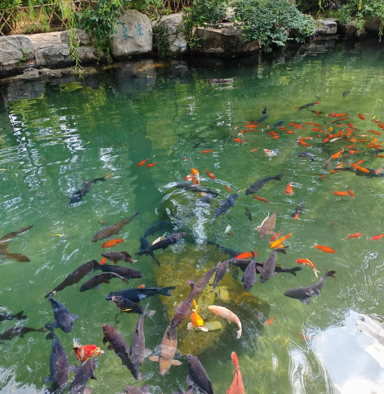 耀目？广告口味太浓了！新闻这么写标题，导向在哪里？是凭借自己偏爱吧！耀在哪？炫谁