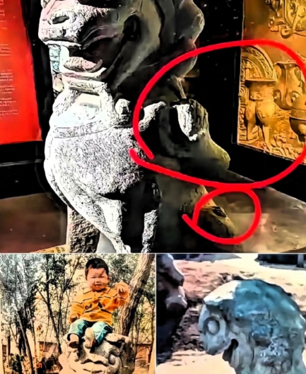 人证物证都有，这回百口莫辩了吧！

安徽一男子到徐州某私人博物馆参观

发现一对