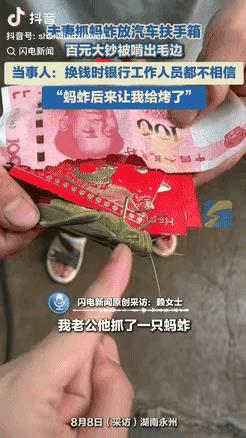 湖南永州，一夫妻抓了只蚂蚱，随手放在了汽车的扶手箱里，结果下车时，忘记带回家了，