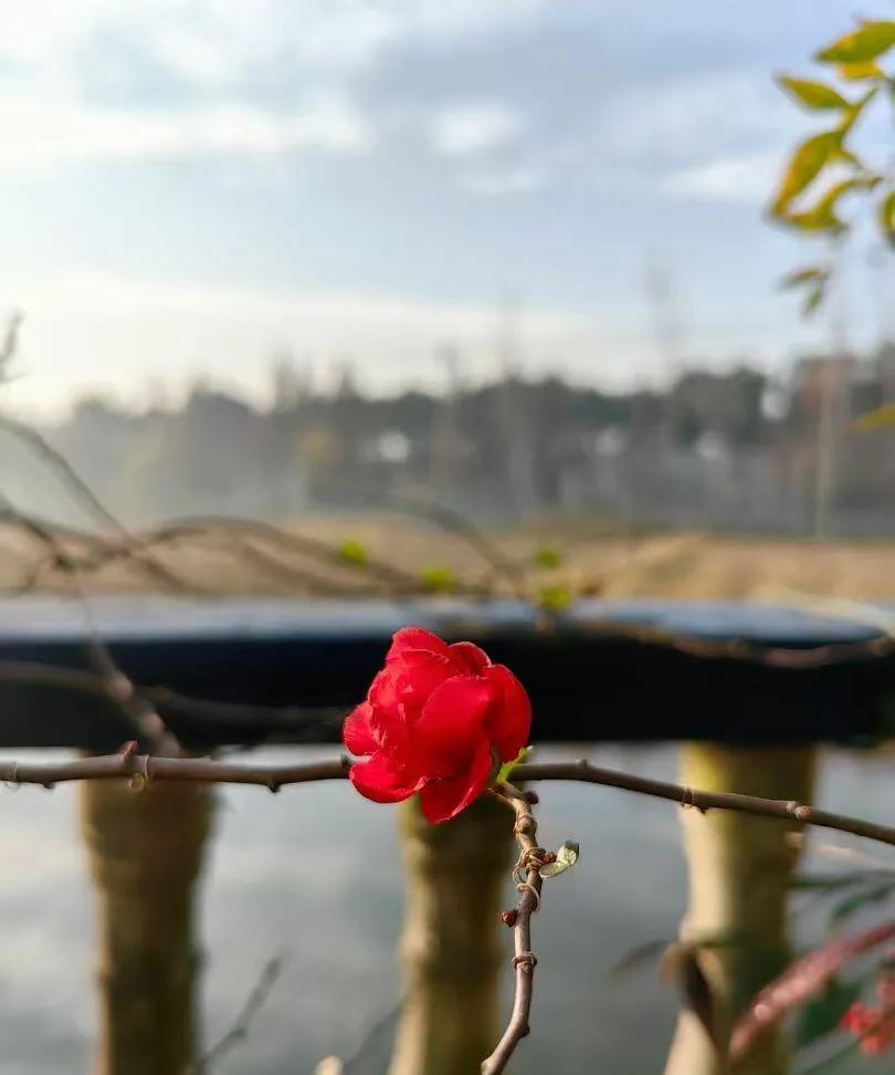 女人要有自己的底气，
无论是能力、事业，
还是值得信赖的依靠。
社会现实，单打独